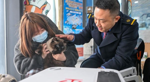 Cina, gli animali domestici adesso possono viaggiare sui treni ad alta velocità