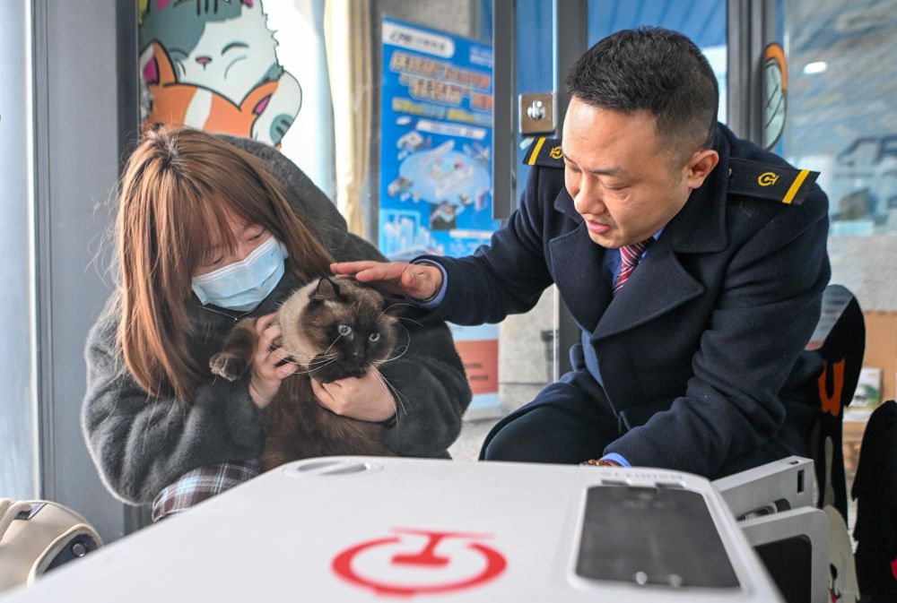 Cina, gli animali domestici adesso possono viaggiare sui treni ad alta velocit&agrave;