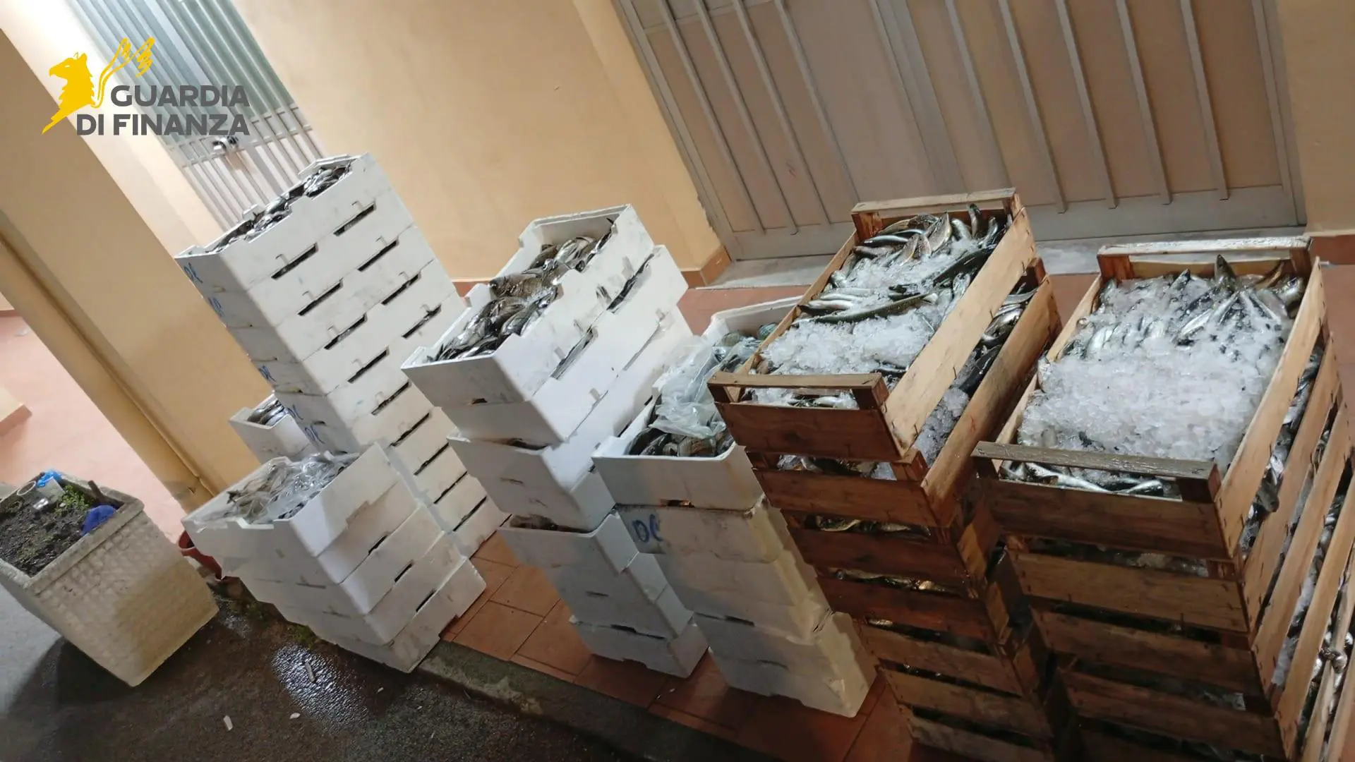 Messina, sequestrata oltre mezza tonnellata di prodotti ittici privi di tracciabilità