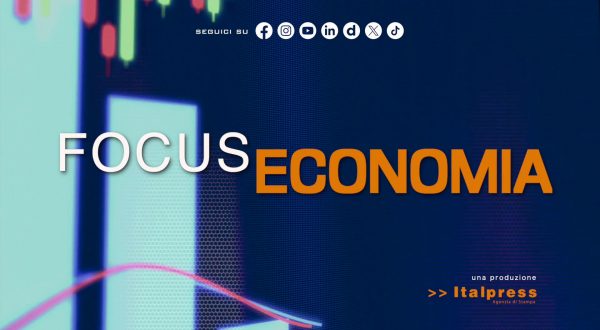 Partite Iva, tempi duri per chi froda il fisco
