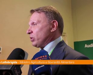 Lollobrigida "Rilanciamo il servizio civile in agricoltura"