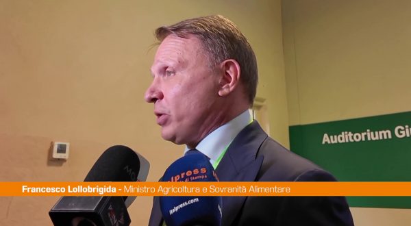 Lollobrigida “Rilanciamo il servizio civile in agricoltura”