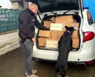 Sequestrata quasi mezza tonnellata di droga nel Torinese, tre arresti