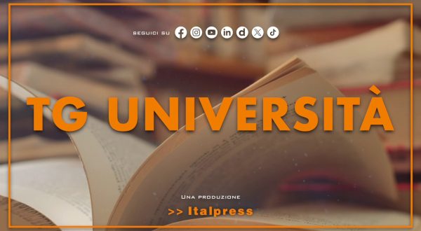 Tg Università – 24/2/2026