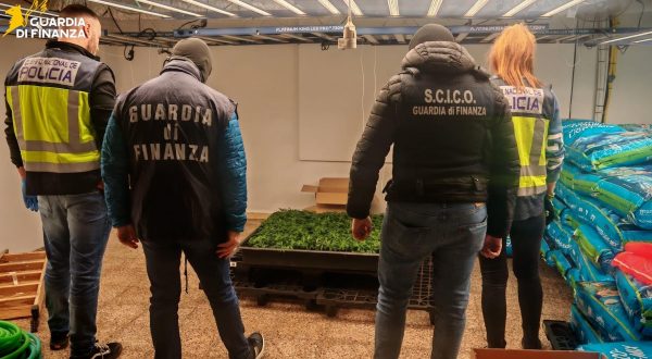 Stroncato un traffico internazionale di droga tra Italia e Spagna, 12 arresti / Video