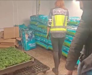 Traffico internazionale di droga, 12 arresti tra Italia e Spagna