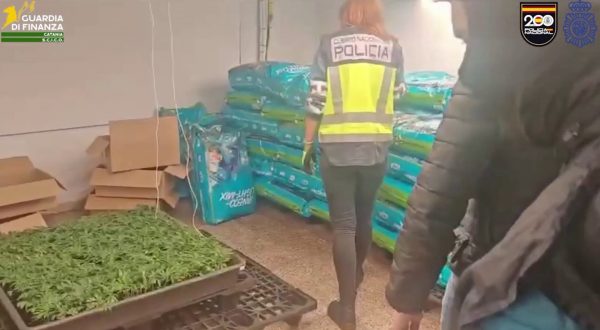 Traffico internazionale di droga, 12 arresti tra Italia e Spagna