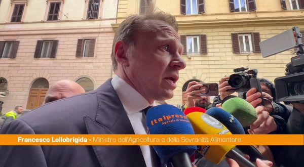 Referendum, Lollobrigida “Persone possono decidere liberamente, noi ottimisti”