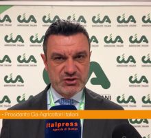 Fini "Chiediamo la stabilizzazione del servizio civile agricolo"