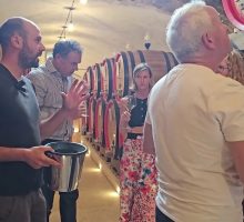 Ue, dalla Commissione nuovi bandi per l'agroalimentare