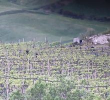 Coltivavano e vendevano marijuana, 5 arresti tra il Nisseno e il Palermitano