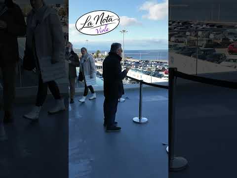 Aeroporto di Palermo verso i privati: occasione o rischio? #shorts #sicilia #aeroporti  #palermo