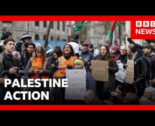 Palestine Action wins High Court challenge against government ban | BBC News
