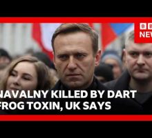 Russia killed Alexei Navalny using dart frog toxin, UK says | BBC News