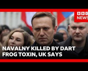 Russia killed Alexei Navalny using dart frog toxin, UK says | BBC News