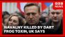 Russia killed Alexei Navalny using dart frog toxin, UK says | BBC News
