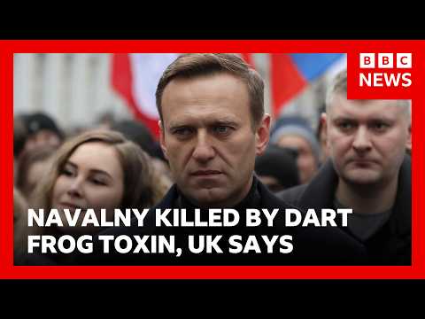 Russia killed Alexei Navalny using dart frog toxin, UK says | BBC News