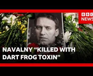 Kremlin denies killing Alexei Navalny with dart frog poison | BBC News