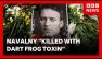Kremlin denies killing Alexei Navalny with dart frog poison | BBC News