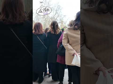 Quote rosa e odio social: la doppia battaglia delle donne in politica #shorts #politica