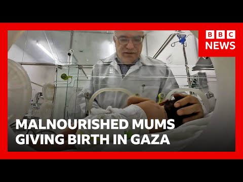 Inside Gaza hospital struggling to provide care to newborn babies | BBC News
