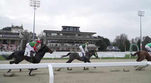 Il Gran Premio Cavalli e Sport all’Ippodromo Snai San Siro