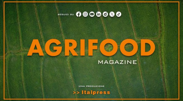 Agrifood Magazine – 4/2/2026