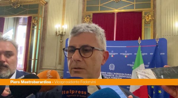 Mastroberardino “Rivedere il tema della sensibilità della cultura del vino”