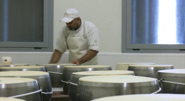 Cia lancia nuovo bando Bandiera Verde. Nel 2025 Premio Gold a Società Dall’Aglio