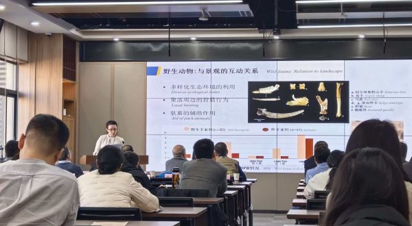 Cina: dall’Italia a Xìan, il viaggio di un’archeologa lungo la Via della seta