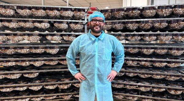 Dolci pasquali, a Tomarchio la certificazione Lfree