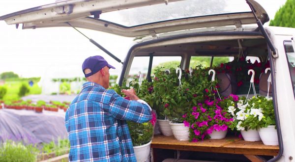 Florovivaismo, comparto strategico: produzione oltre 3 miliardi