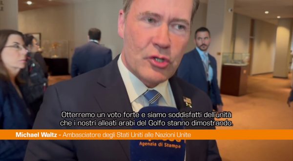 Onu, Waltz “Unità Paesi del Golfo contro attacchi Iran”