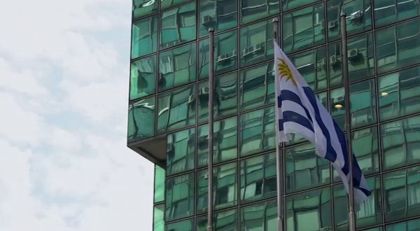 Ue, dall’1 maggio applicazione provvisoria dell’accordo Mercosur