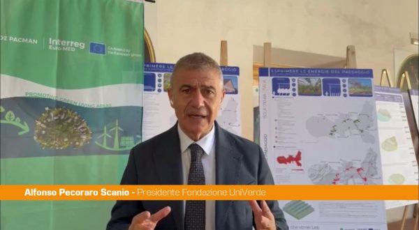 Pecoraro Scanio “Contro crisi energetica la sfida delle rinnovabili sostenibili”
