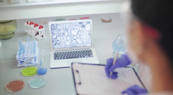 Accademici e scienziati all’UE “Errore equiparare sigarette a e-cig”