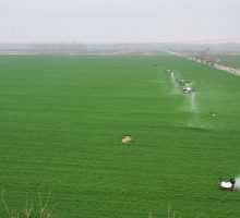 Cina, una fattoria smart trasforma la coltivazione dei cereali