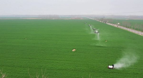 Cina, una fattoria smart trasforma la coltivazione dei cereali