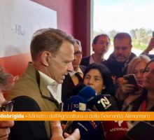 Lollobrigida "Ipotesi elezioni anticipate? Non mi risulta"