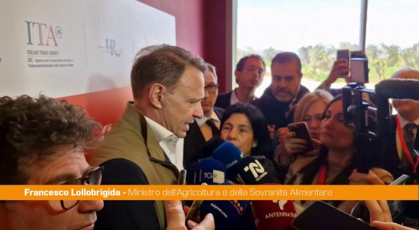 Lollobrigida “Ipotesi elezioni anticipate? Non mi risulta”