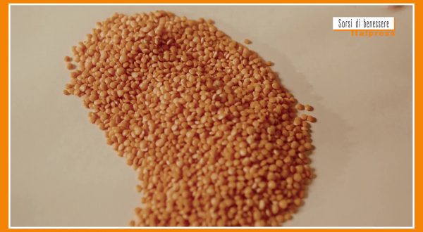 Sorsi di Benessere – L’insalata di lenticchie