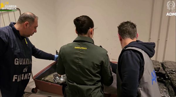 Arrestata passeggera con 17 kg di marijuana all’aeroporto di Malpensa