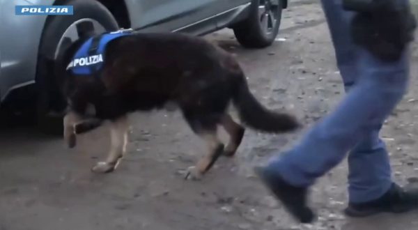 Maxi operazione antidroga a Crotone, 14 misure cautelari