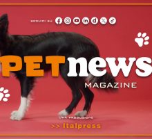 PetNews Magazine - 16/3/2026