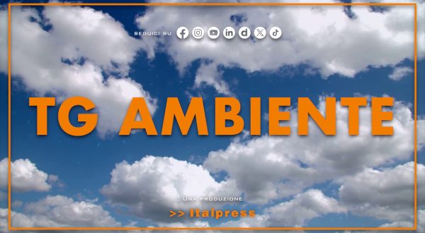 Tg Ambiente – 1/3/2026