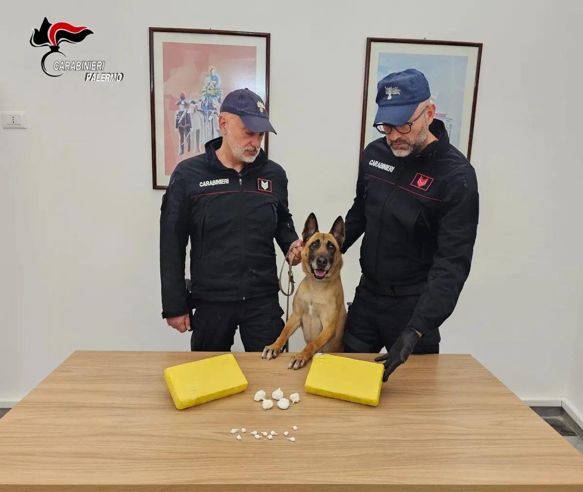 Maxi sequestro di cocaina a Palermo, stop ad un giro da 300 mila euro