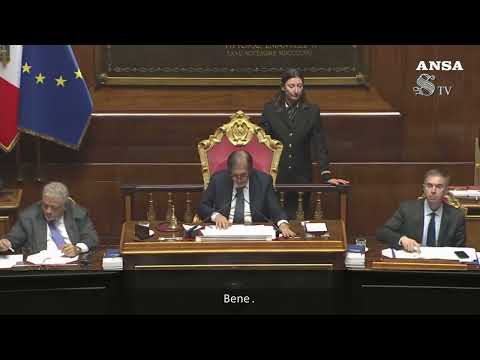 Fuorionda di La Russa in Senato: “Come si chiama quel cogl… che continua a urlare?”  #ansa  #news