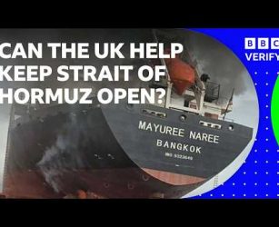 How might the UK support shipping in the Strait of Hormuz? | BBC News