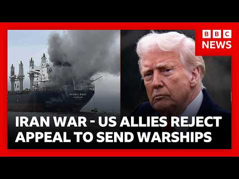 US allies reject Trump&rsquo;s appeal to send warships to Strait of Hormuz | BBC News