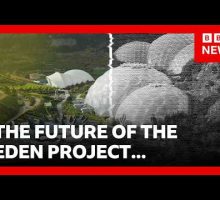 Why one of the world's largest greenhouses is in jeopardy | BBC News